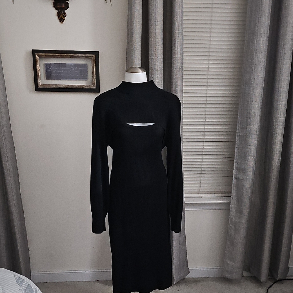 Ashley Stewart Black Long Sleeve Dress